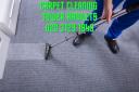 Carpet Cleaning Tower Hamlets logo